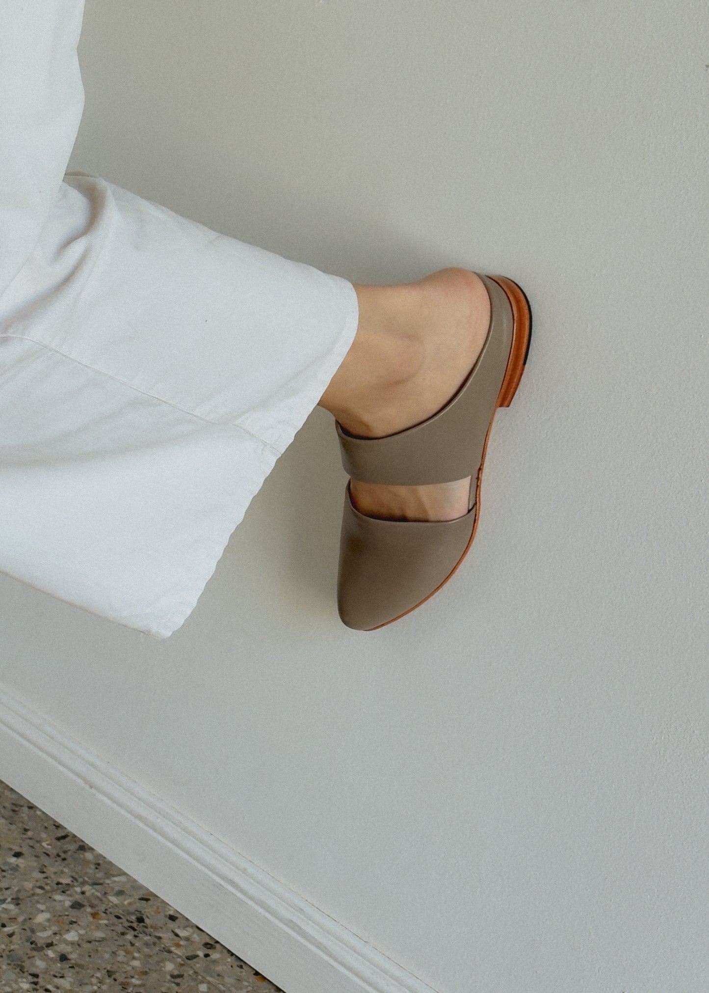 Mule in Shiitake