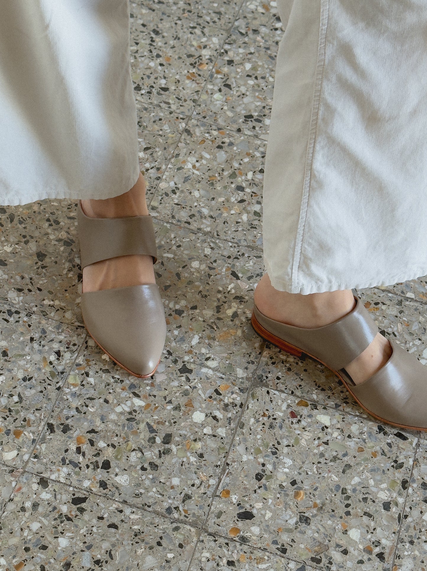 Mule in Shiitake