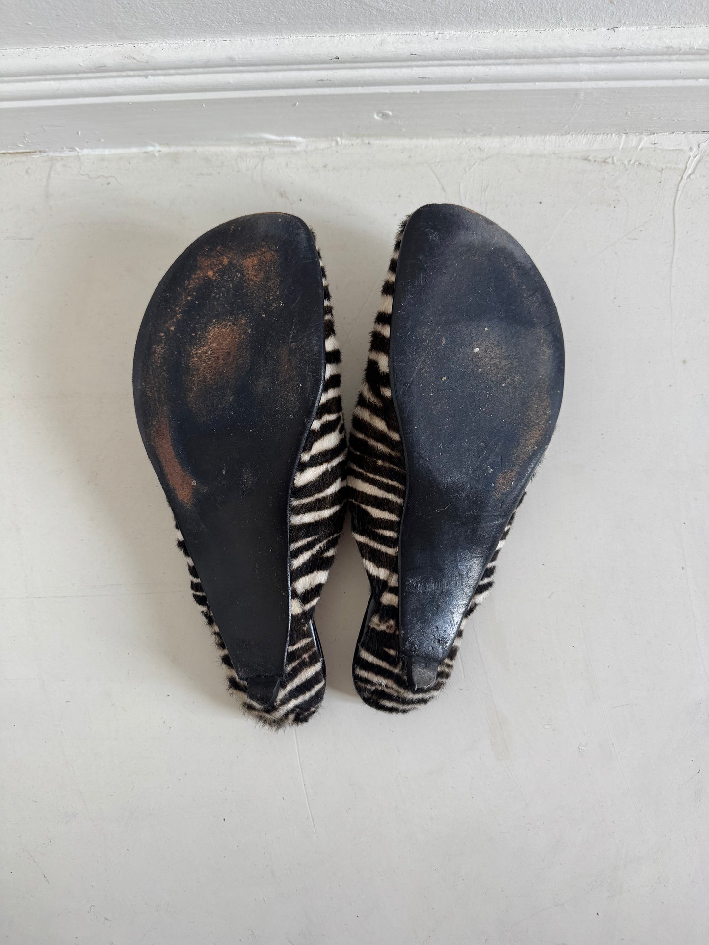 Charo Clog in Zebra Size 40