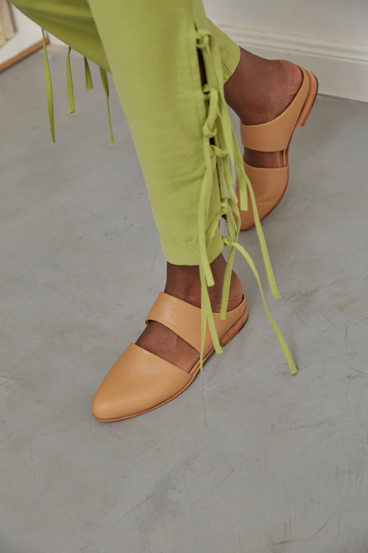 Mule in Desert (USA)