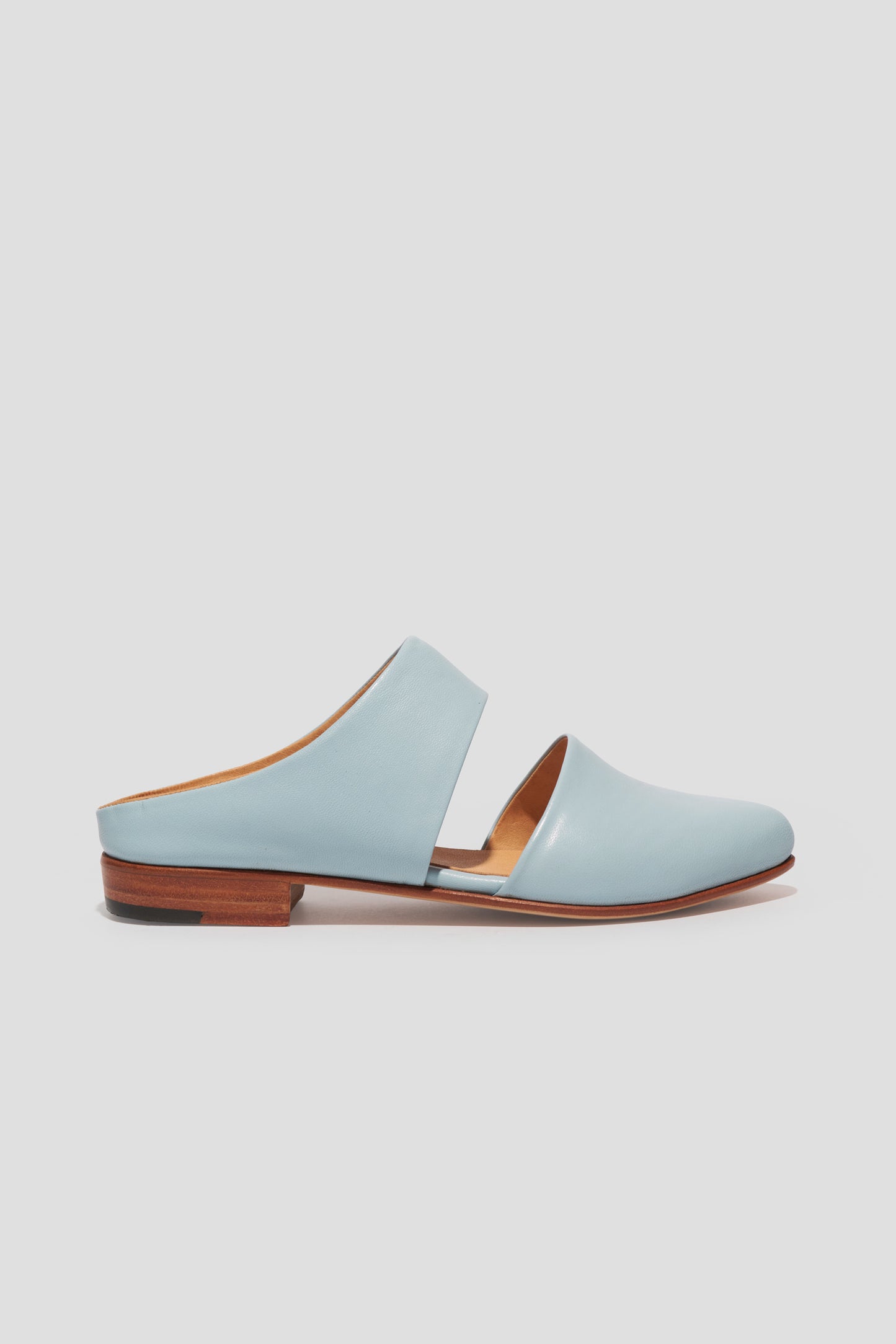 Mule in Sky