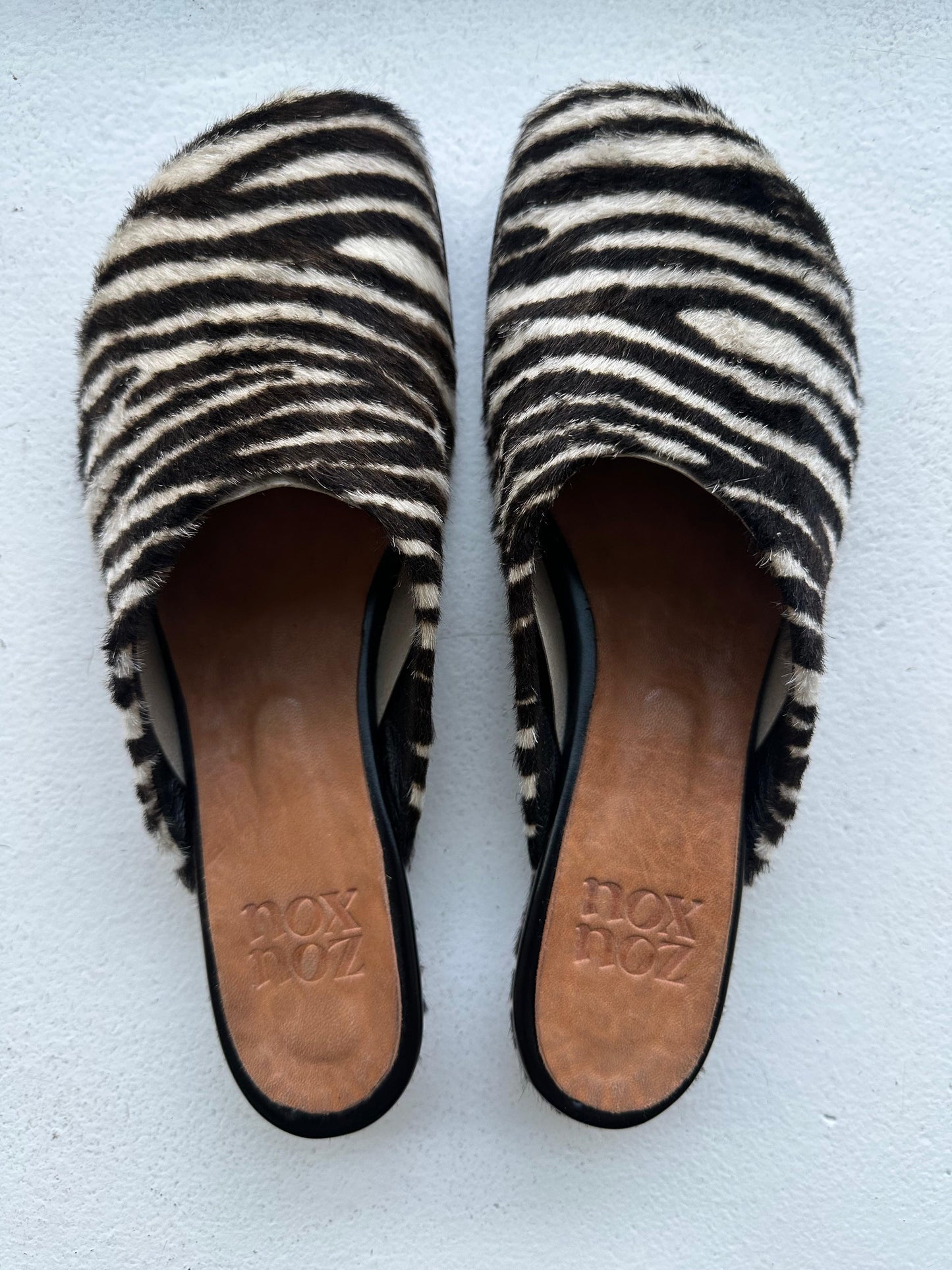 Charo Clog in Zebra Size 39