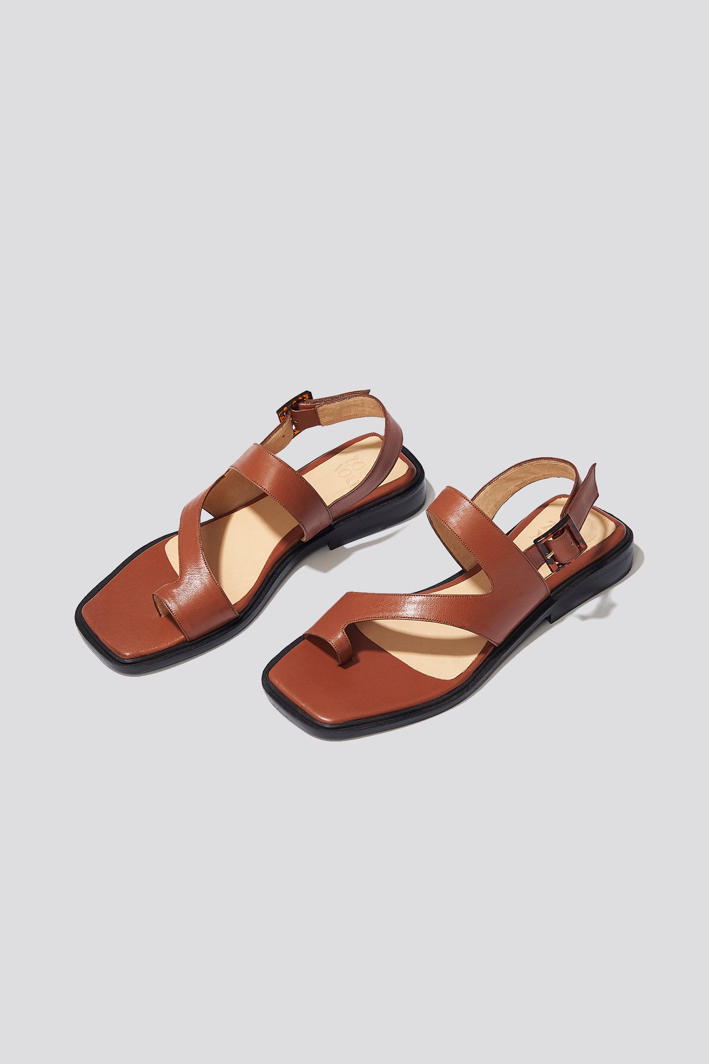 Anto Flat Thong Buckle Sandal in Chocolate