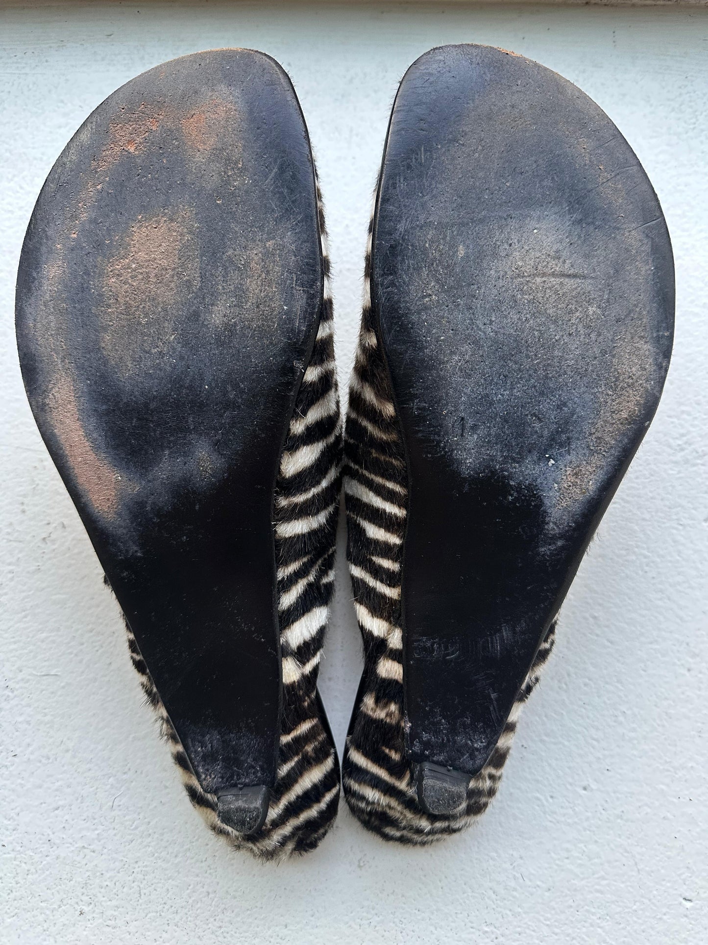 Charo Clog in Zebra Size 39