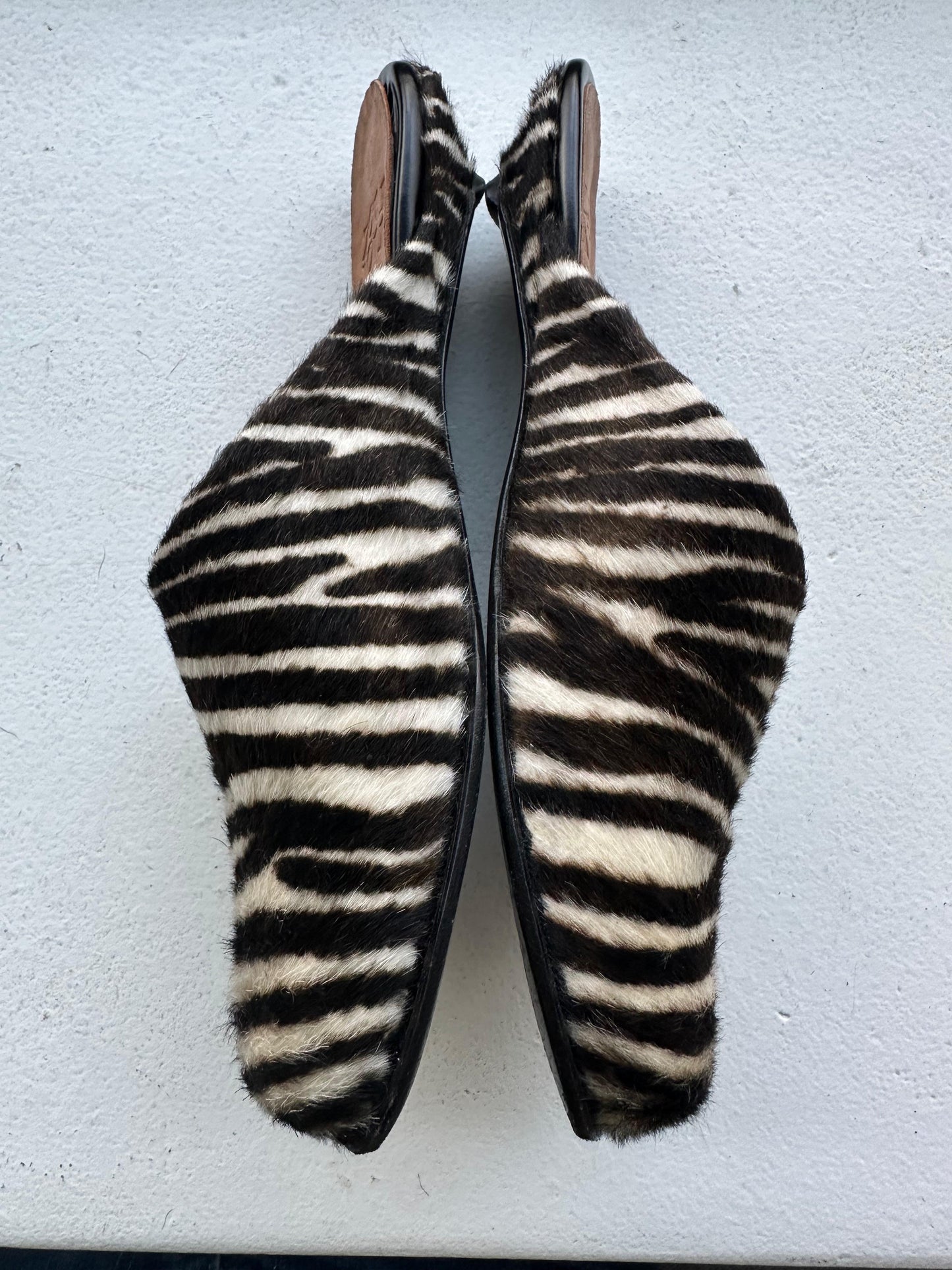 Charo Clog in Zebra Size 39