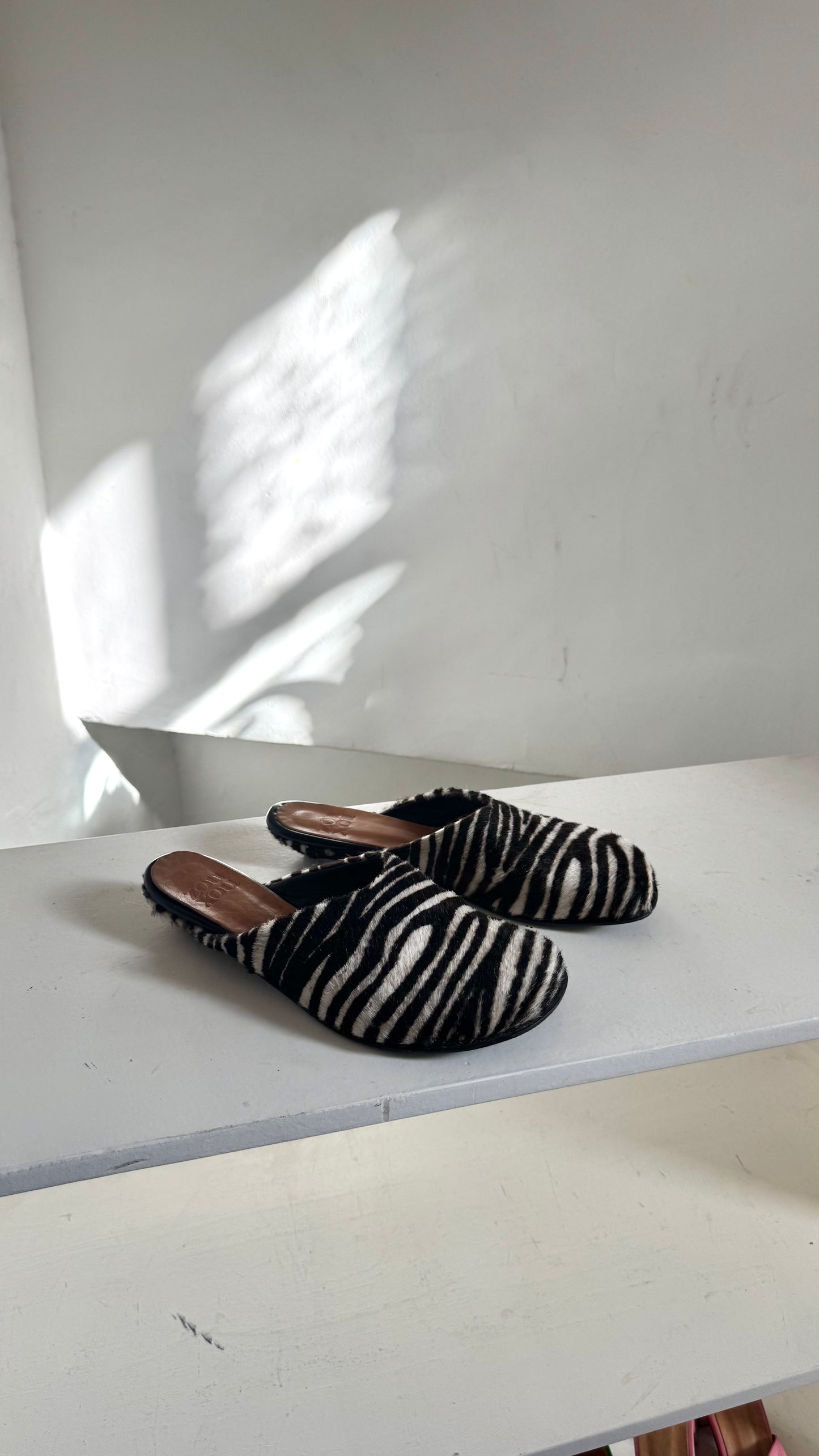 Charo Clog in Zebra Size 40