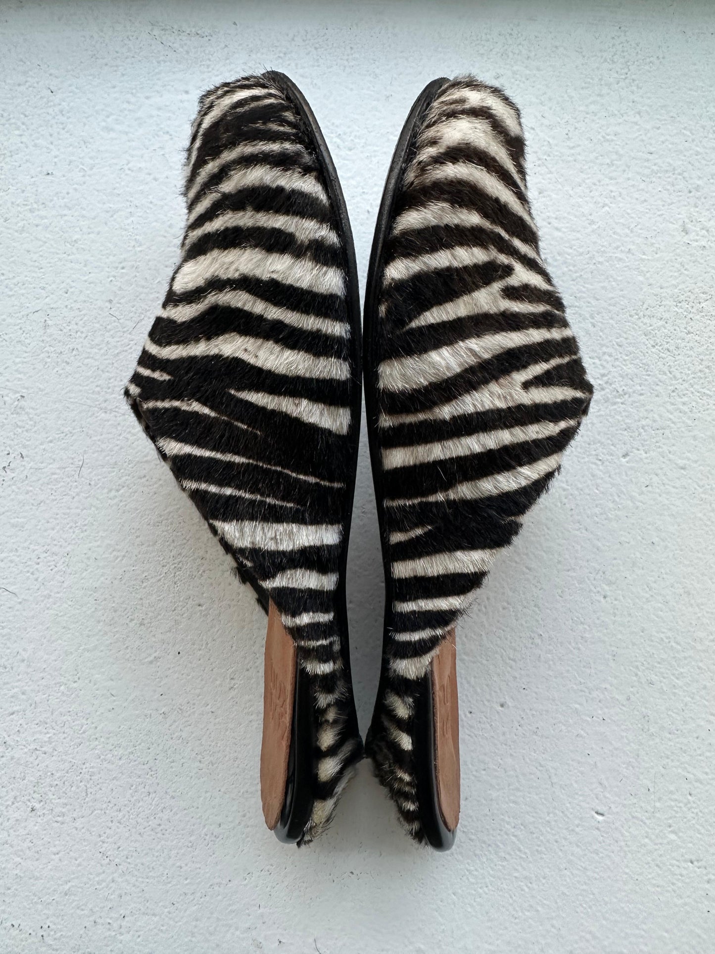 Charo Clog in Zebra Size 39