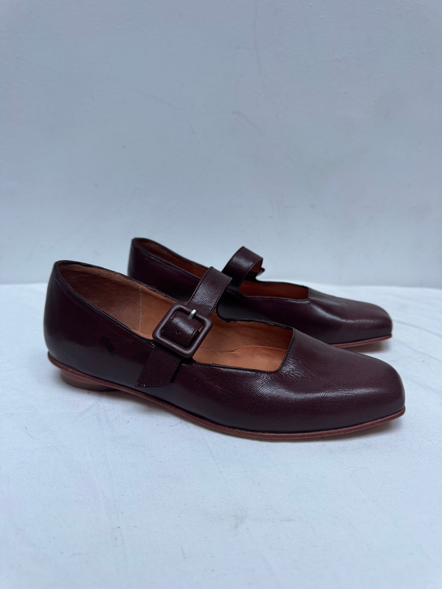 Eugenia Hazelnut 36