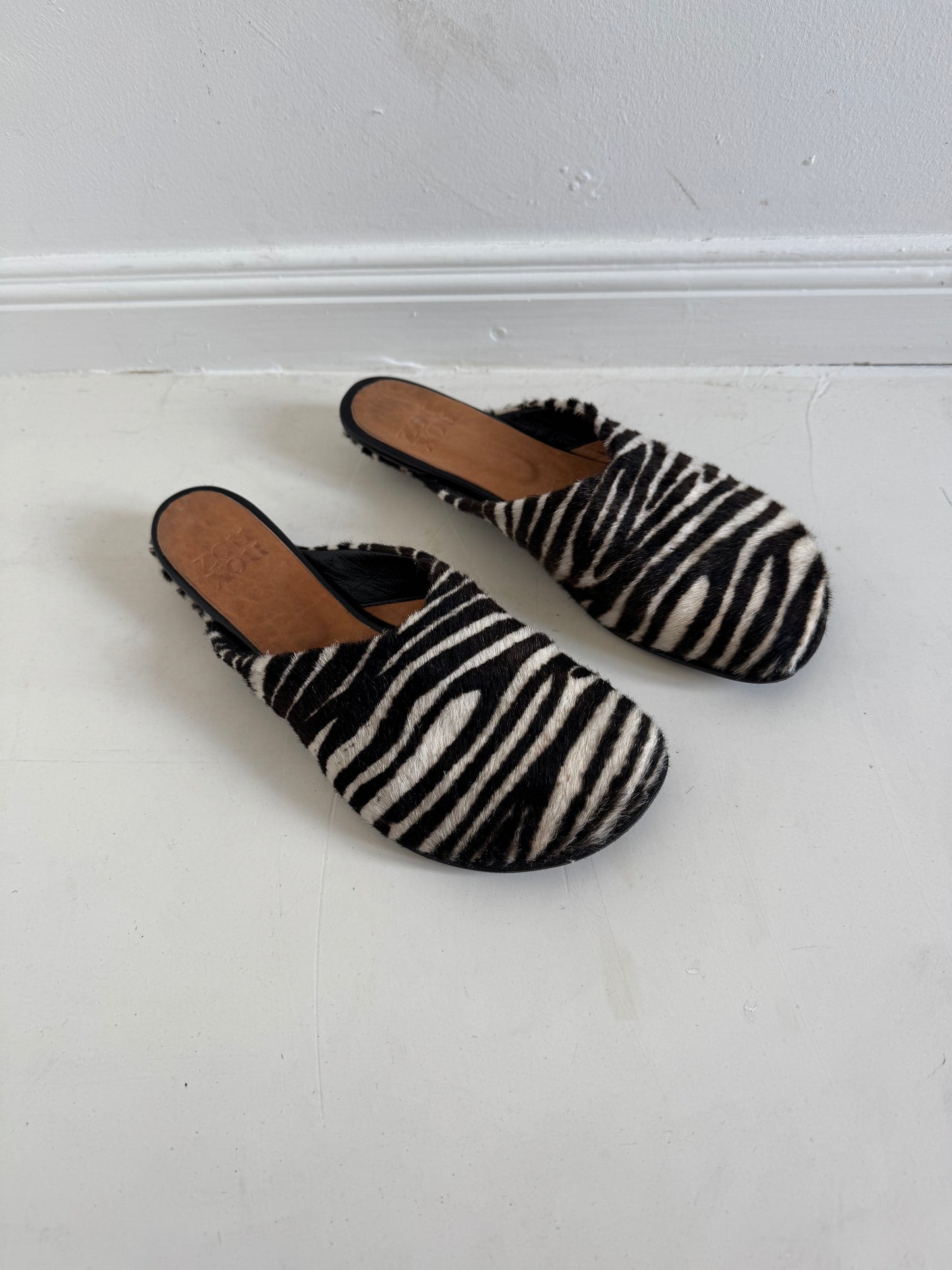 Charo Clog in Zebra Size 40
