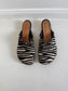 Charo Clog in Zebra Size 40