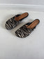Charo Clog in Zebra Size 40